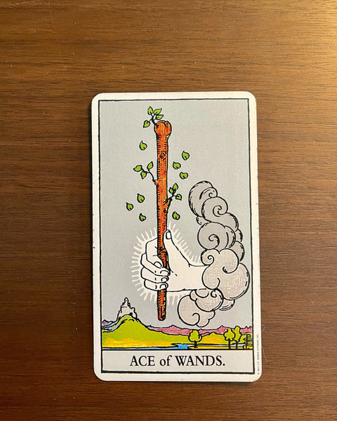 Tarot Card of the Day: May 14, 2021 — The Ace of Wands
